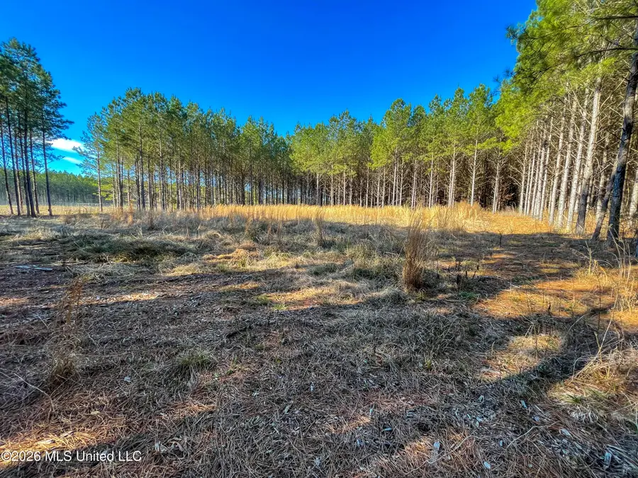 609 Barker Road, Morton, MS 39117 - #2