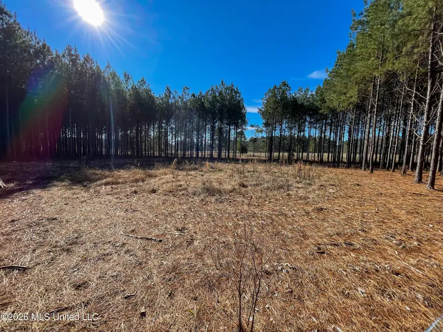 609 Barker Road, Morton, MS 39117 - #3