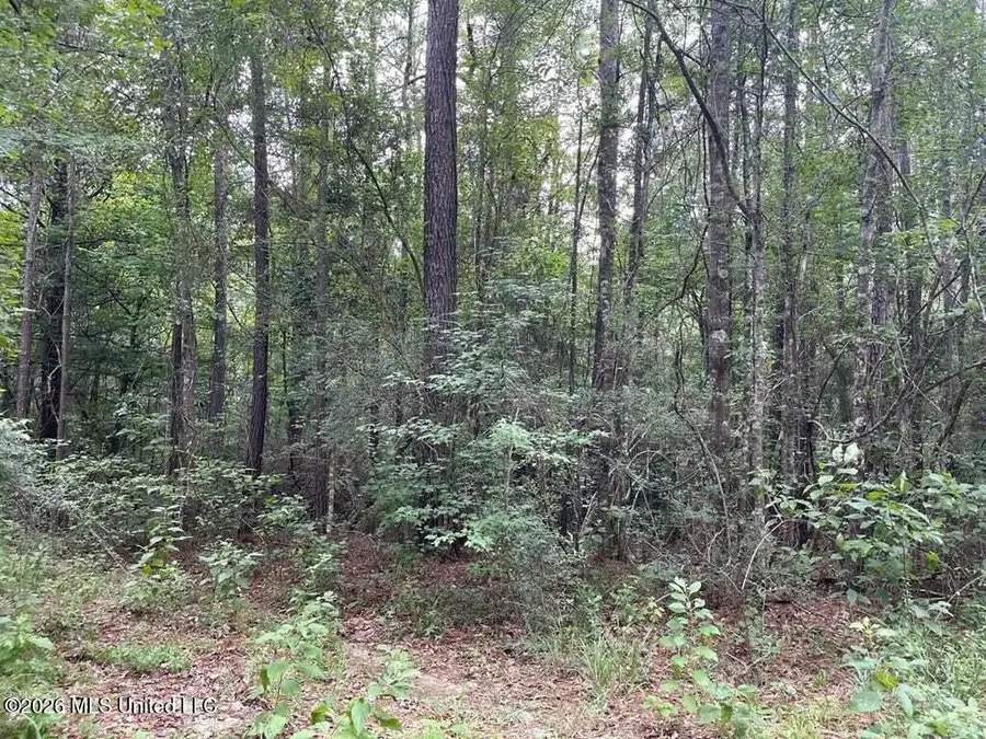 0 Highway 439, Franklinton, LA 70438 - #2