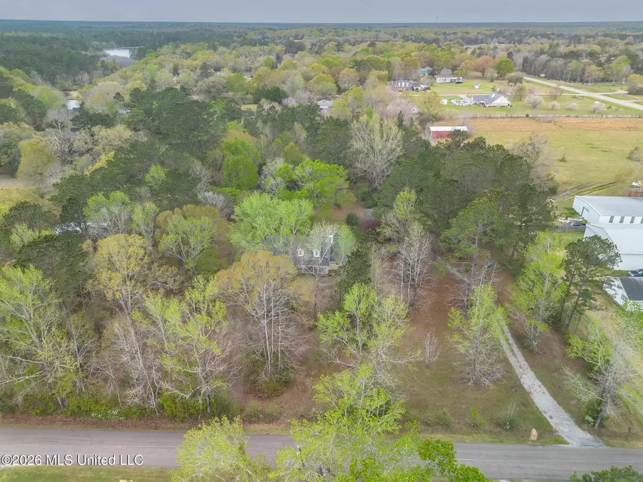 23436 N Benville Road, Picayune, MS 39466 - #3