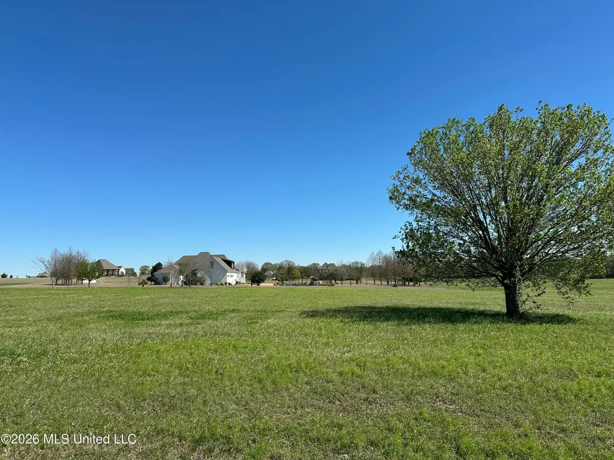 0 Hannahlea Place, Flora, MS 39071 - #1