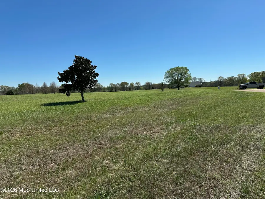 0 Hannahlea Place, Flora, MS 39071 - #2