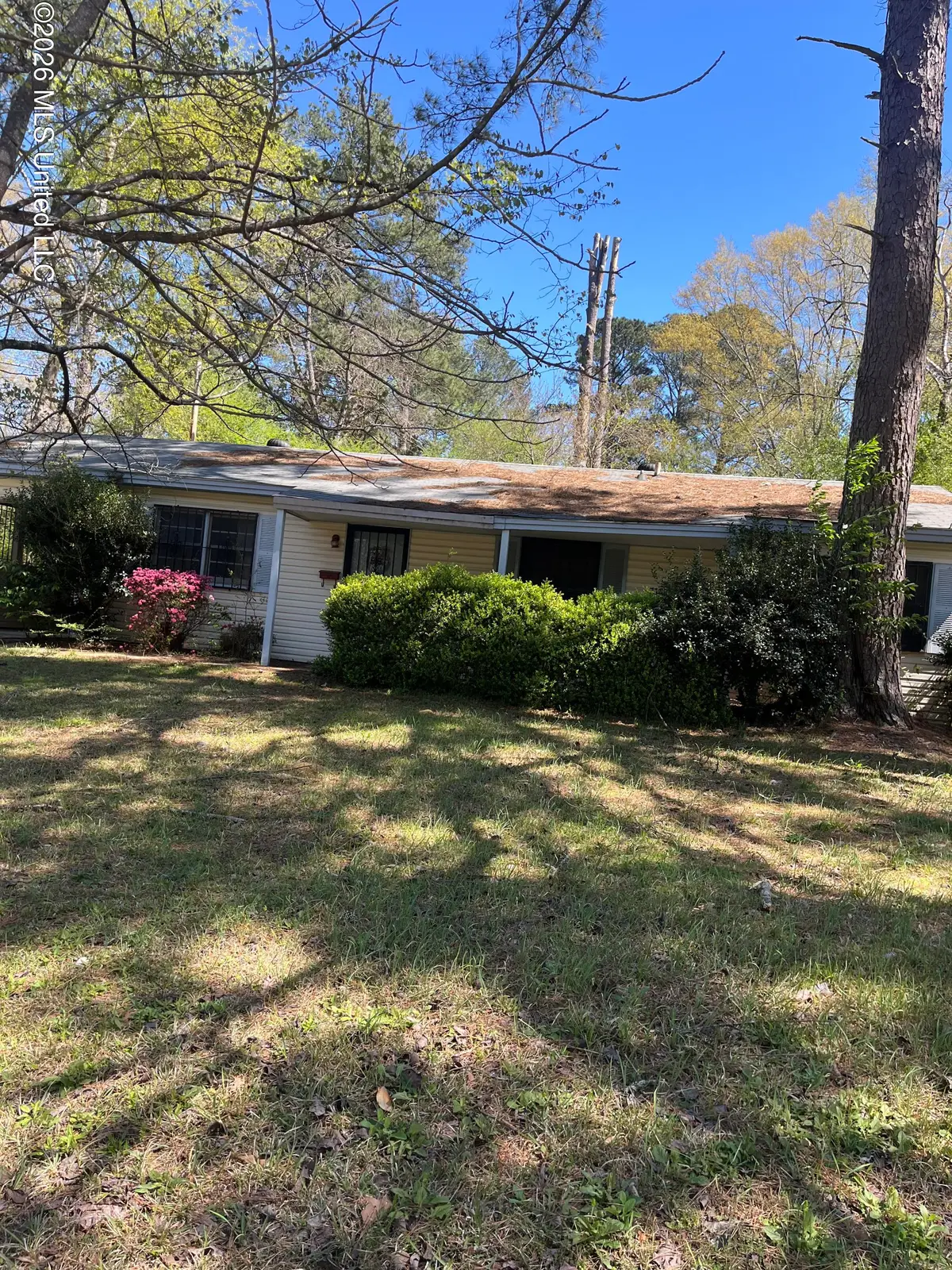 2842 Teresa Drive, Jackson, MS 39212 - #1