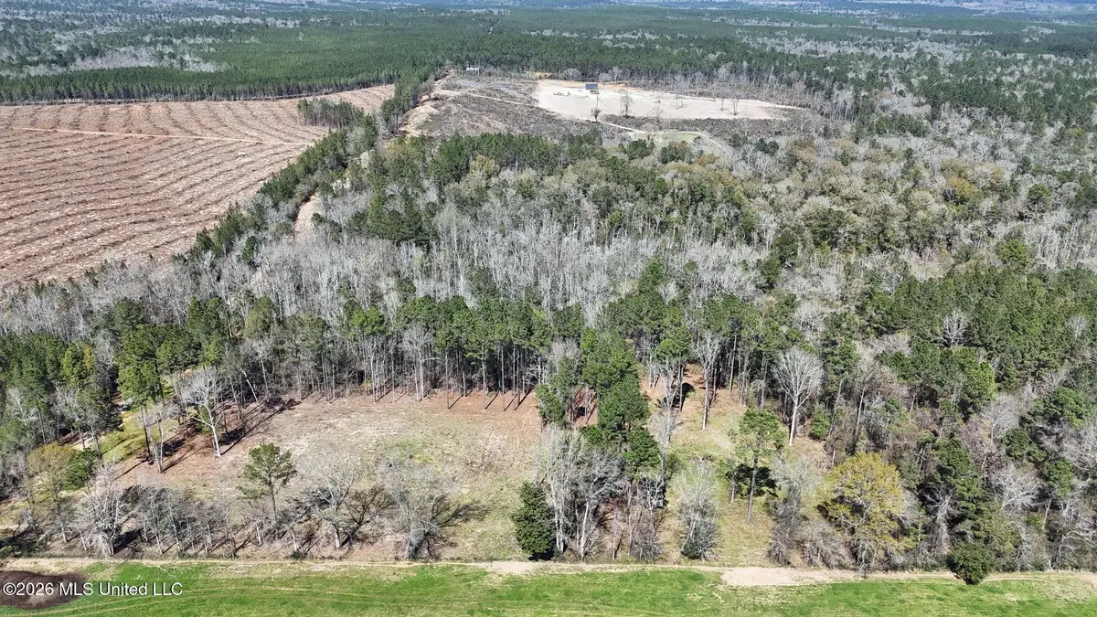 21.8 Acres Flournoy Road, Lucedale, MS 39452 - #1