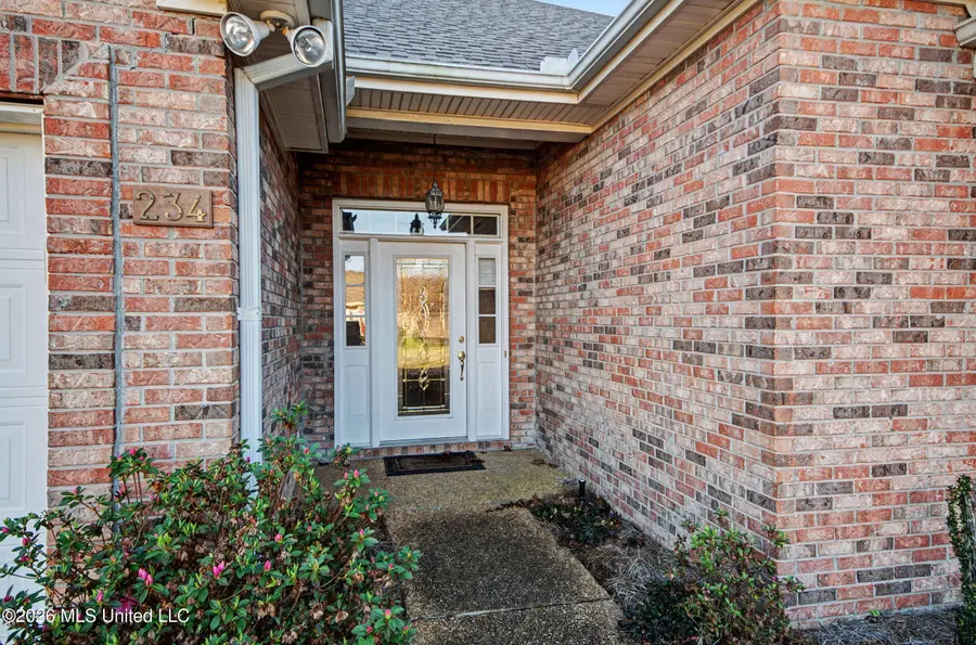 234 Terrace Drive, Brandon, MS 39042 - #3
