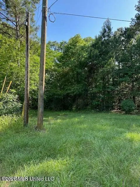 203-B School Basin Rd, Lucedale, MS 39452 - #3