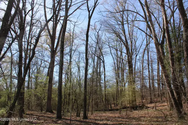 7 Barton Desoto Road, Olive Branch, MS 38654