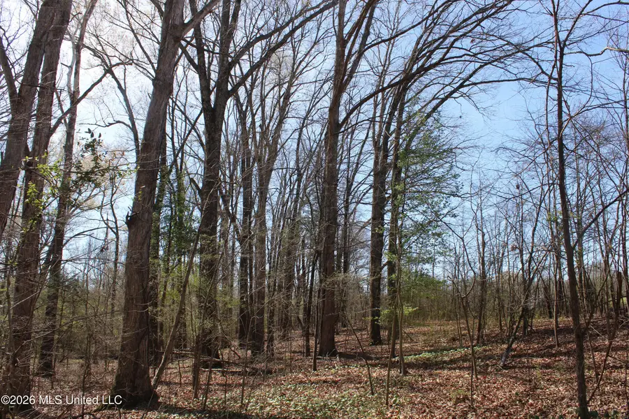 9 Barton Desoto Road, Olive Branch, MS 38654 - #3