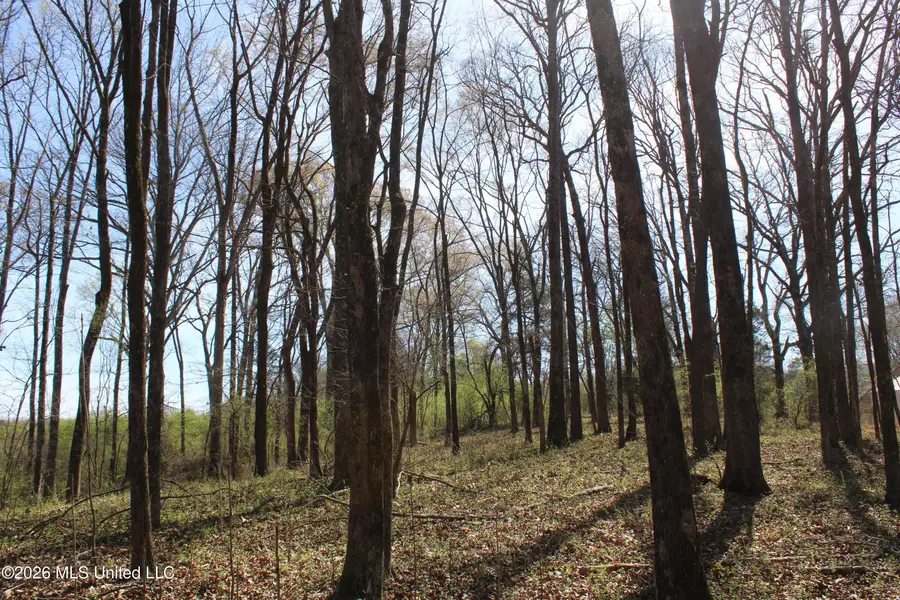 10 Barton Desoto Road, Olive Branch, MS 38654 - #3