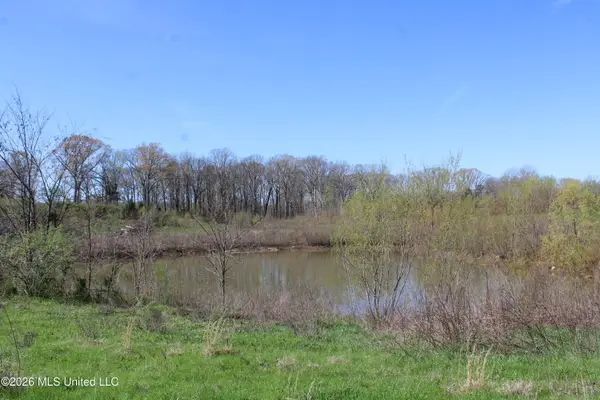 12 Barton Desoto Road, Olive Branch, MS 38654