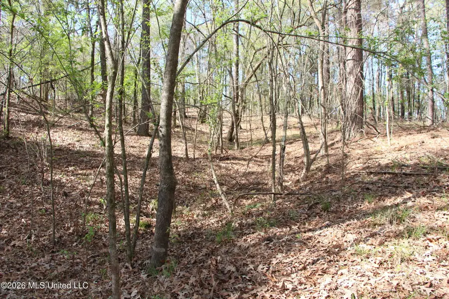 0 Highway 463, Madison, MS 39110 - #3