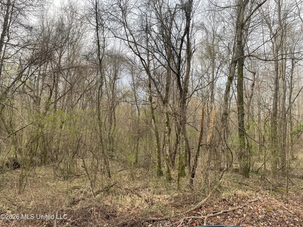 Bend Road, Coldwater, MS 38618 - #1