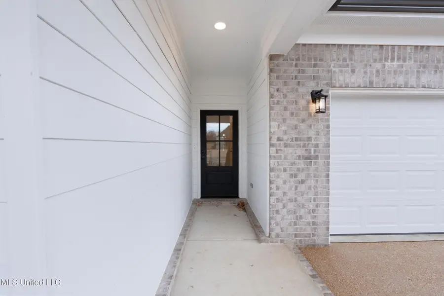 13878 Molly Madeline Lane, Olive Branch, MS 38654 - #3