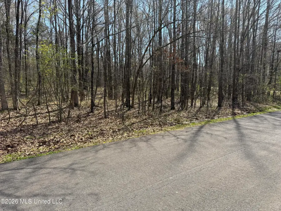 0 Steele Road, Hernando, MS 38632 - #3