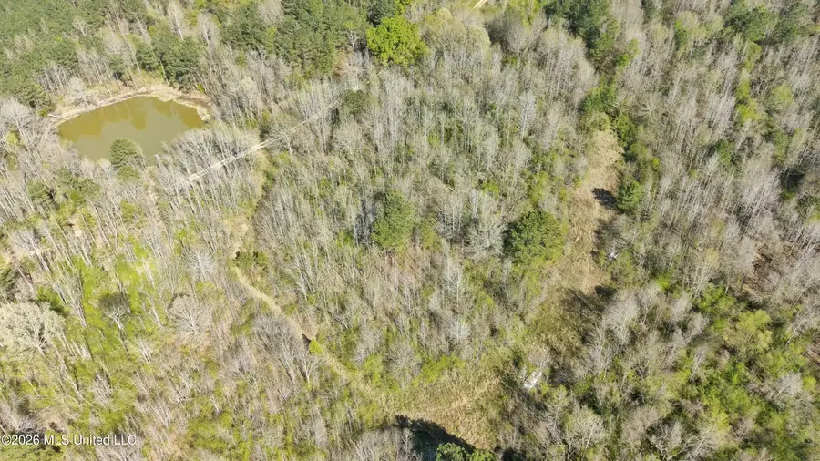 Wells Street, Wesson, MS 39191 - #3