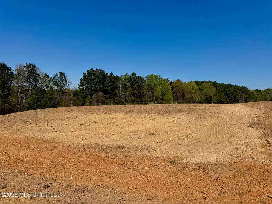 735 Cedar Hill Road, Flora, MS 39071 - #3