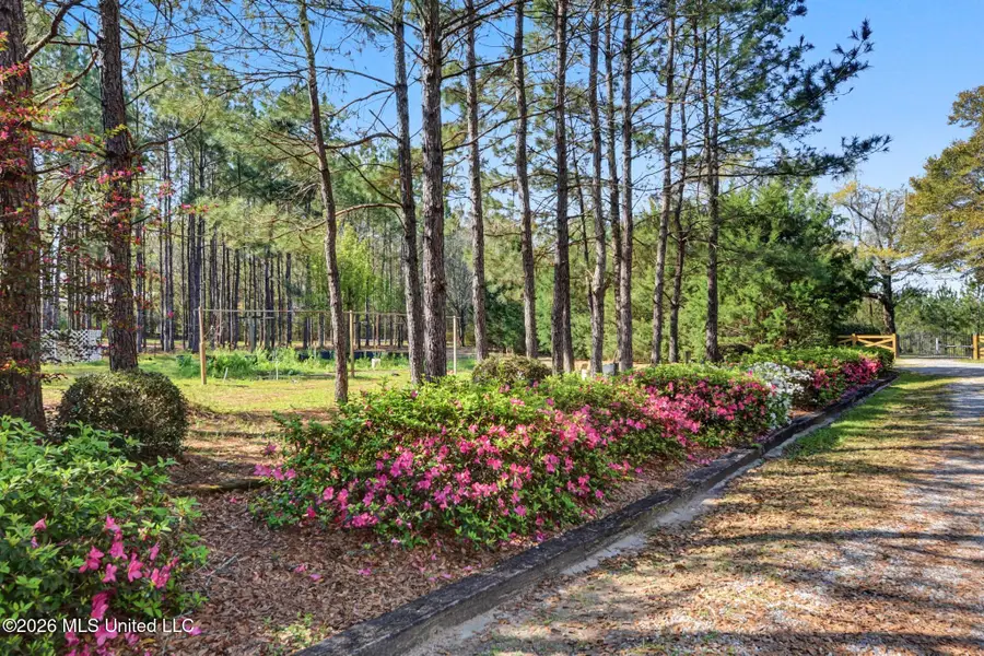 110 Jemison Lane, Lucedale, MS 39452 - #3