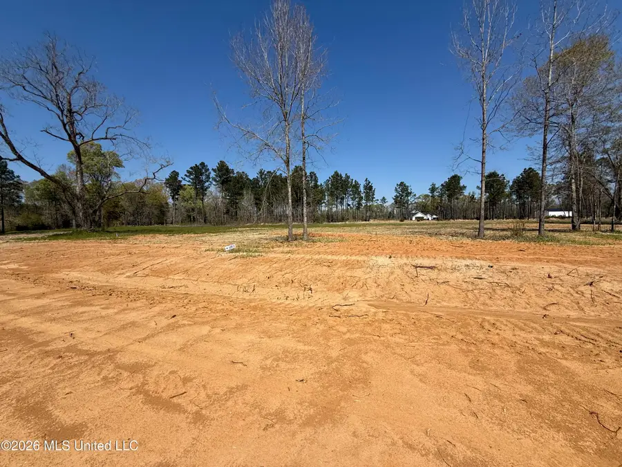 Lot 2 Oakley Lane, Lucedale, MS 39452 - #2