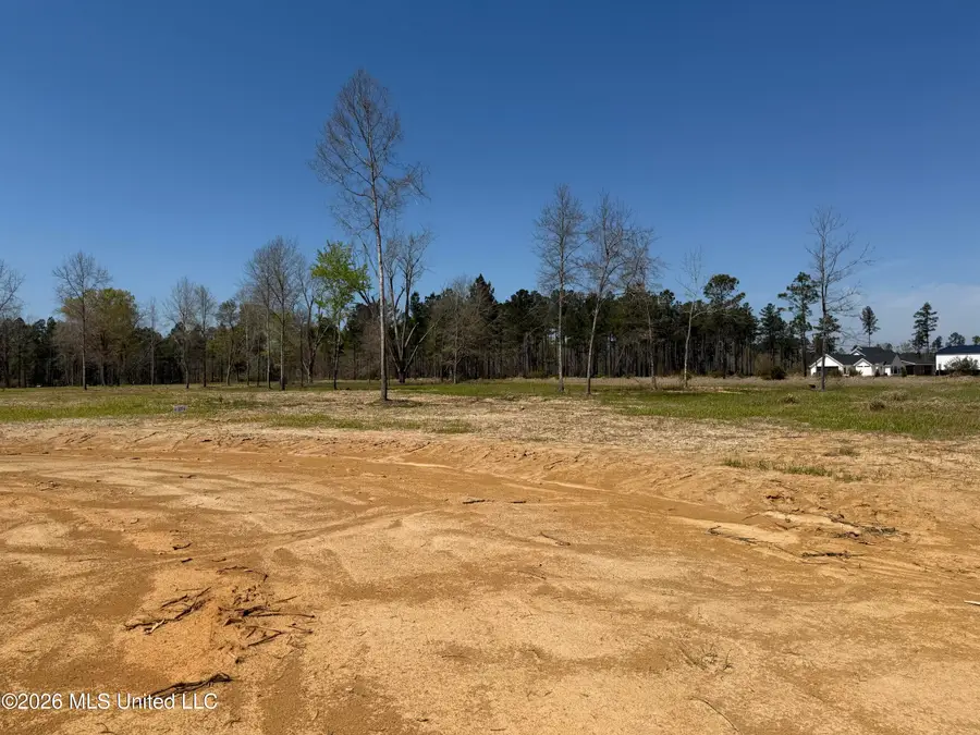Lot 6 Oakley Lane, Lucedale, MS 39452 - #3
