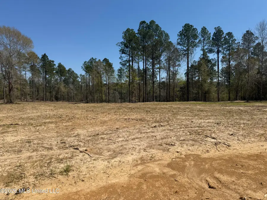 Lot 7 Oakley Lane, Lucedale, MS 39452 - #2