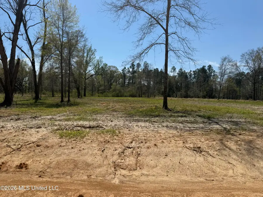 Lot 13 Oakley Lane, Lucedale, MS 39452 - #3