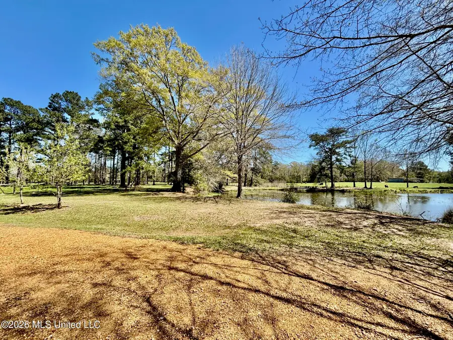 54 Kennedy Road, Tylertown, MS 39667 - #2