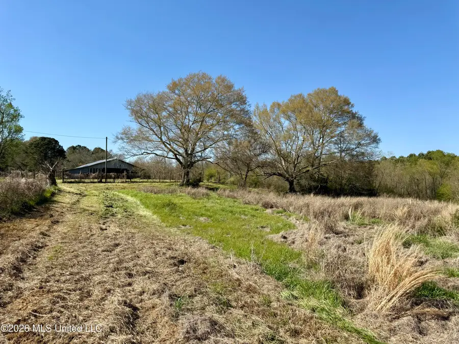 Neal Road, Forest, MS 39074 - #3