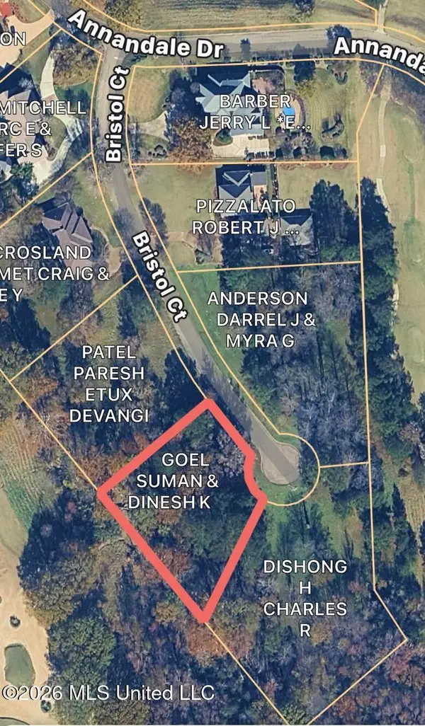 114 Bristol Court, Madison, MS 39110