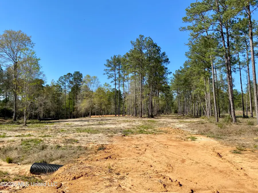 10 Monarch Circle, Carriere, MS 39426 - #2