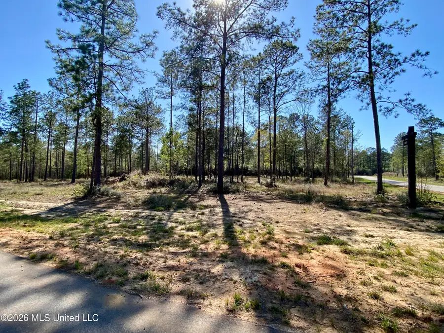 9 Monarch Circle, Carriere, MS 39426 - #2