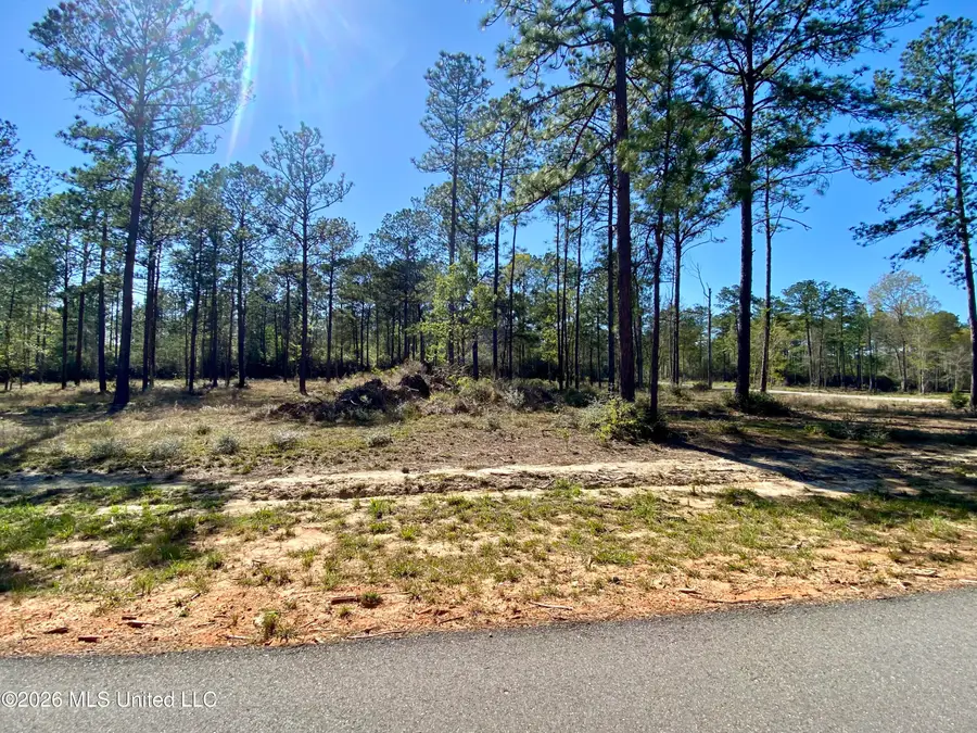 9 Monarch Circle, Carriere, MS 39426 - #3