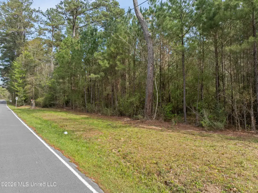 9460 Janice Brooklyn Road, Brooklyn, MS 39425 - #2