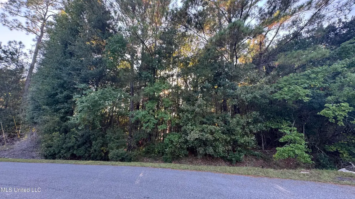 9079 Iris Street, Bay Saint Louis, MS 39520 - #1