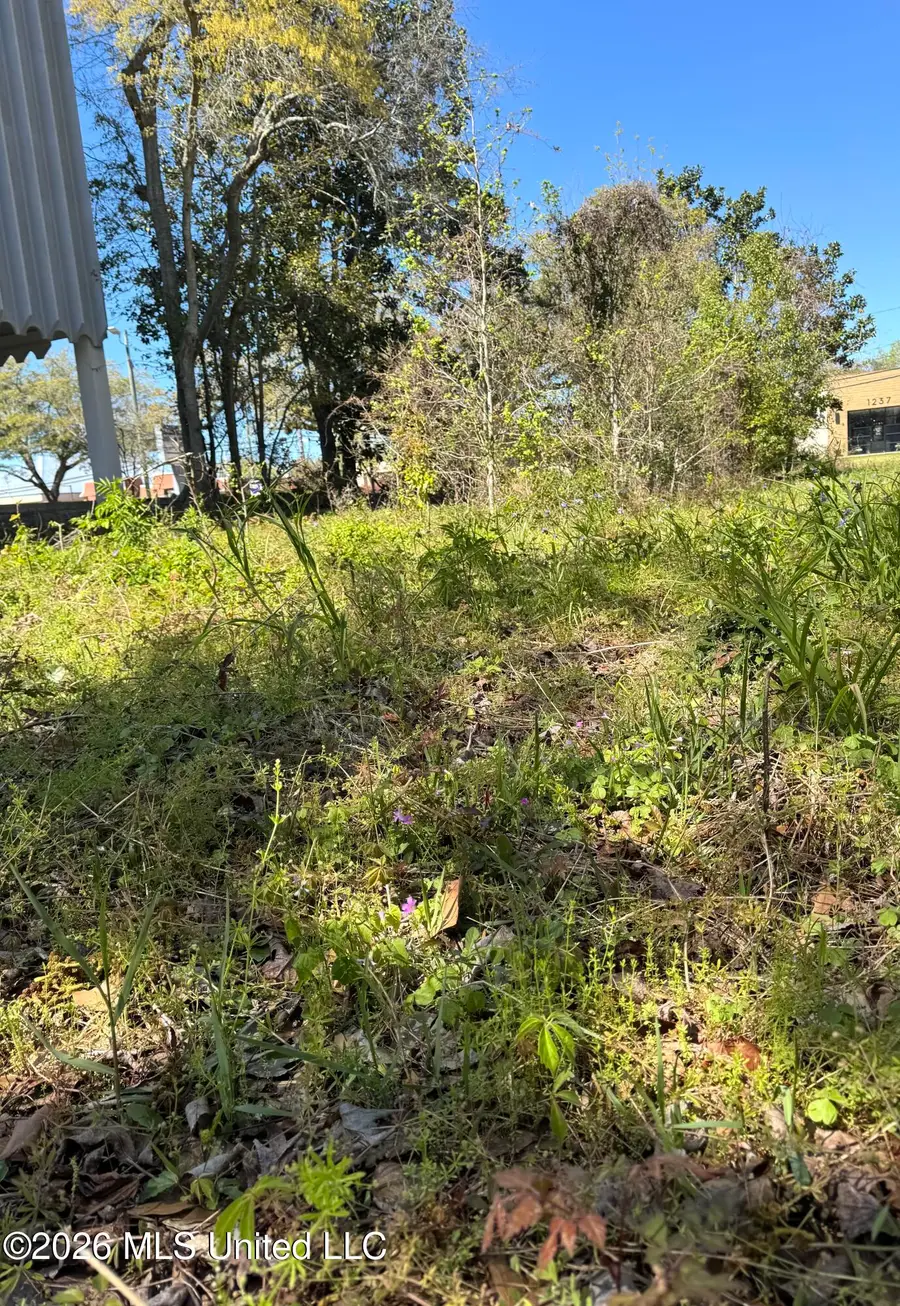 0 Jackson Avenue, Pascagoula, MS 39567 - #2