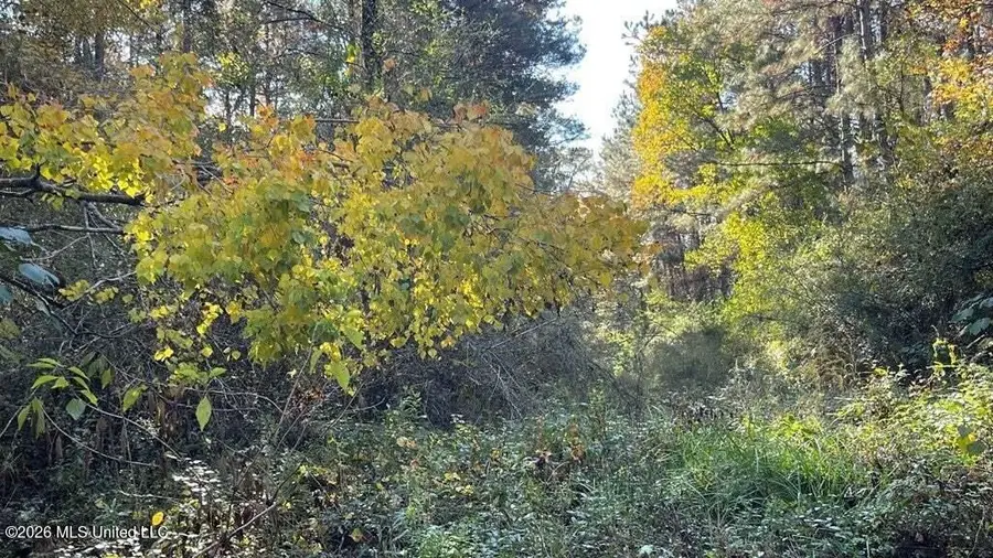 Schmidt Road, McComb, MS 39648 - #2