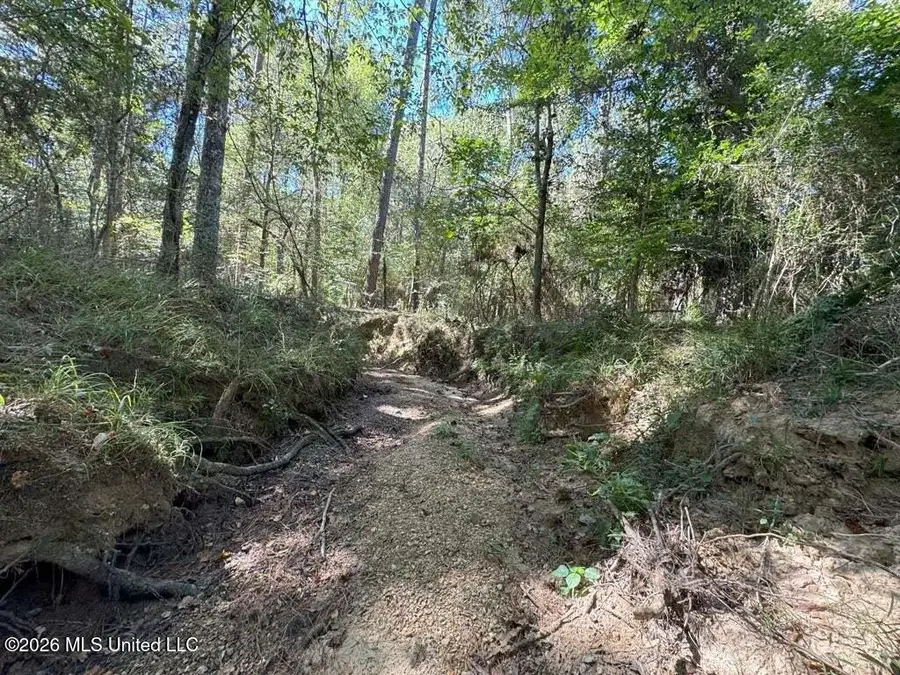 Delaware Avenue, McComb, MS 39648 - #2