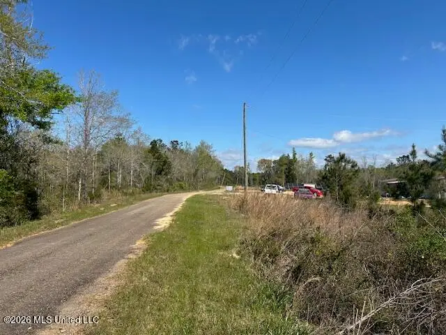 Austin Smith Road, Ruth, MS 39662 - #2