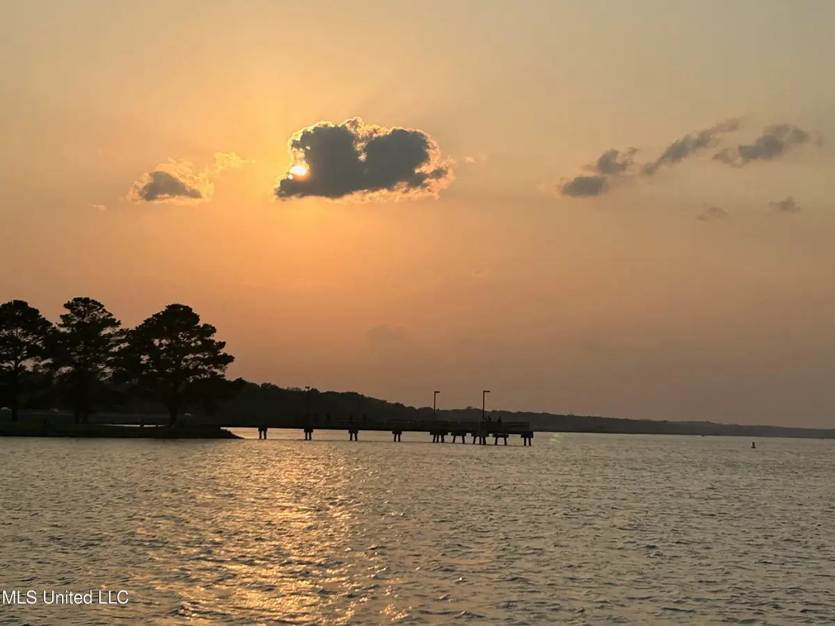 E Bay, Brandon, MS 39047 - #1