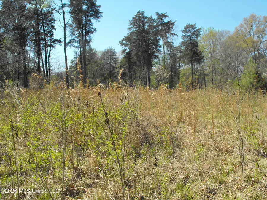 000 Berry Drive, Florence, MS 39073 - #2