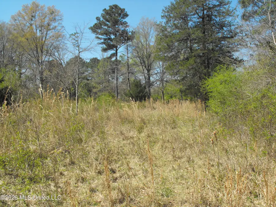 000 Berry Drive, Florence, MS 39073 - #3