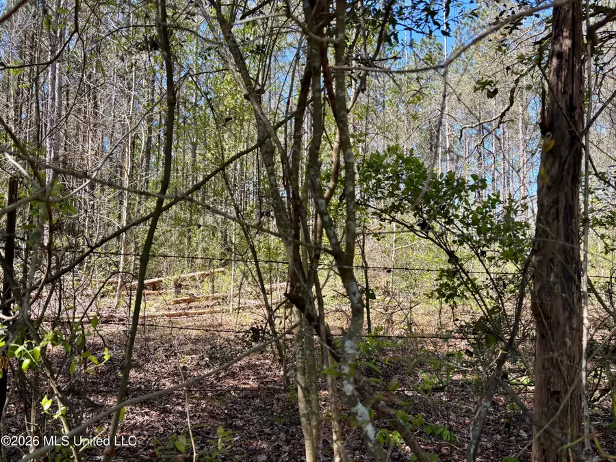 SE Evans Loop, Ruth, MS 39662 - #3