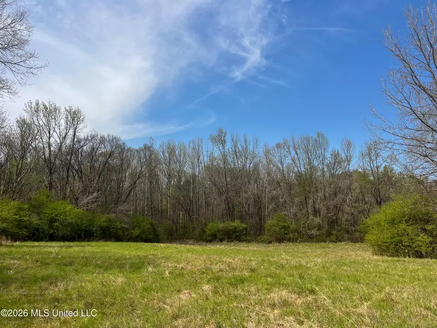 Simpson Road, Pickens, MS 39146 - #2
