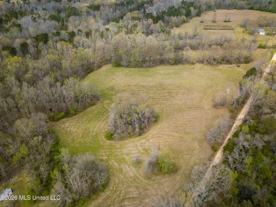 Simpson Road, Pickens, MS 39146 - #3