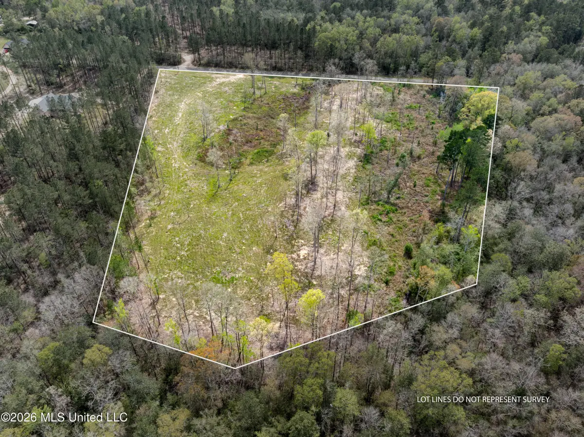 0 Scruggs Road, Sumrall, MS 39482 - #1