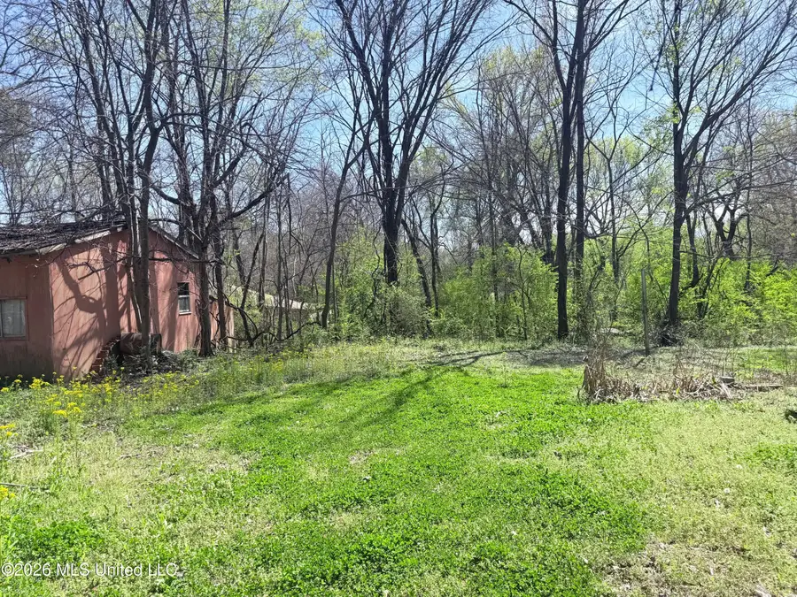 2943 Plum Point Road, Southaven, MS 38672 - #3