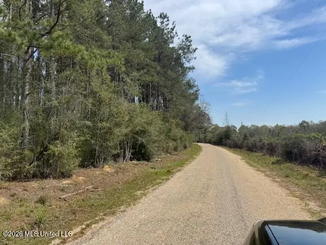 143 New River Road, Tylertown, MS 39667 - #2