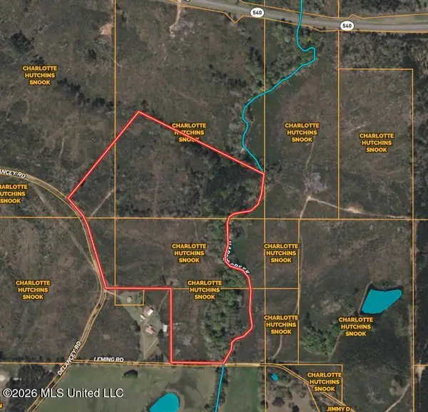 0 Delancey Road, Braxton, MS 39044