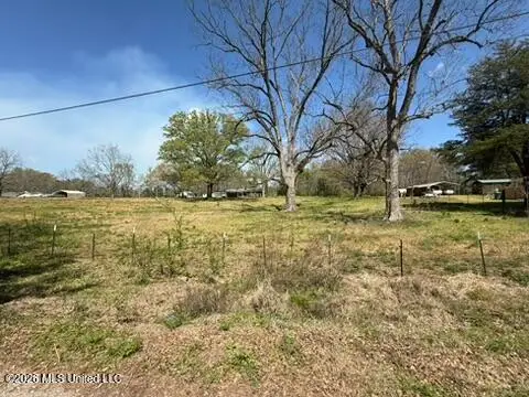 1332 Walker Road, Terry, MS 39170 - #3