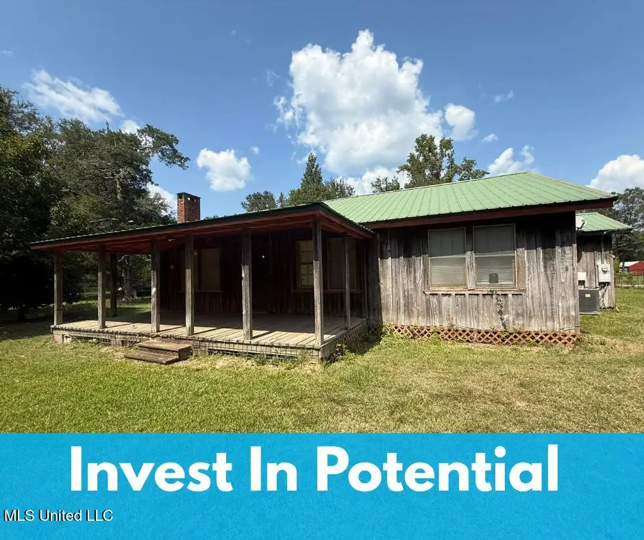 10100 Vestry Road, Perkinston, MS 39573 - #1