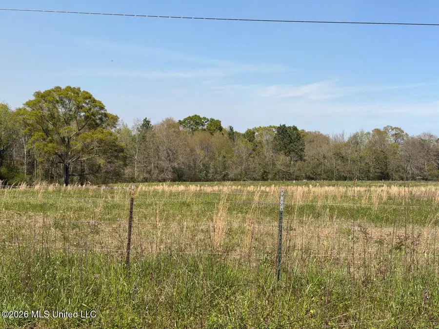 11.74 Magnolia Road, Perkinston, MS 39573 - #2